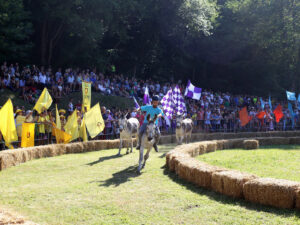 Palio degli Asini di Montecreto