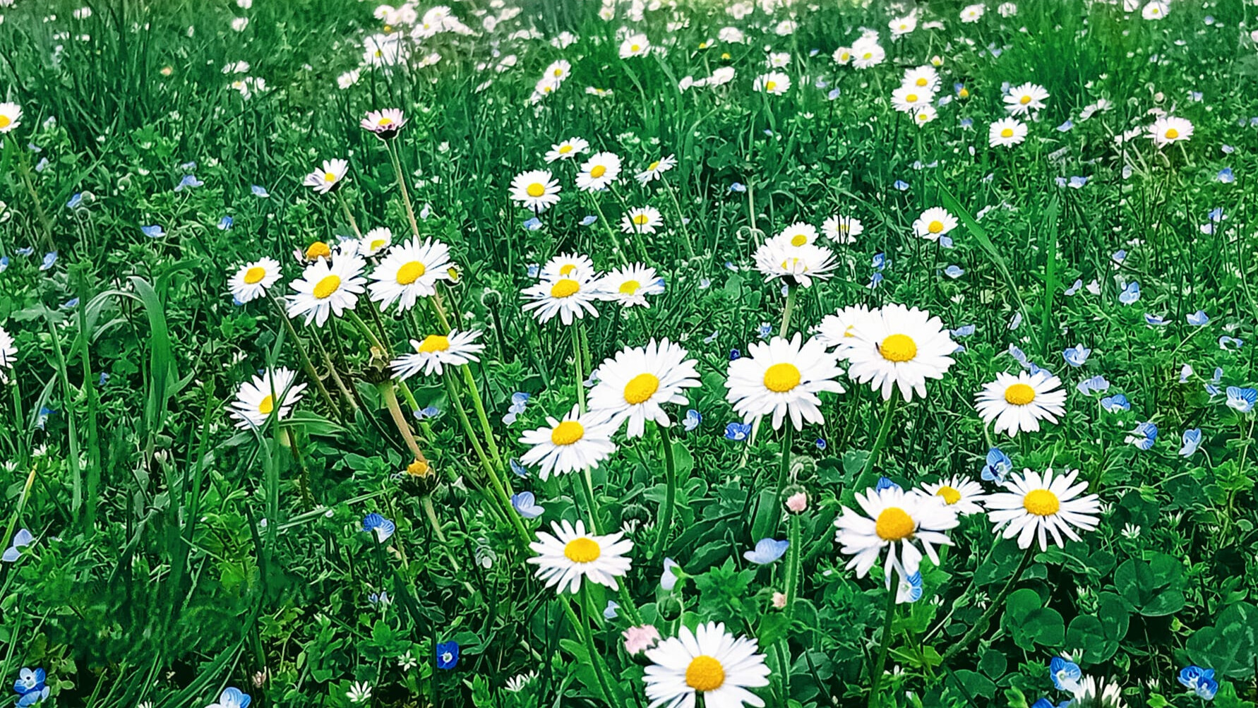 Primavera vacanze di Pasqua appennino modenese